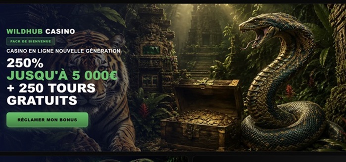 avis wildhub casino